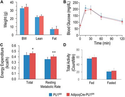 Adipocyte-Specific Ablation of PU.1 Promotes Energy Expenditure and Ameliorates Metabolic Syndrome in Aging Mice